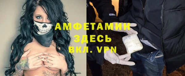 гашик Козельск