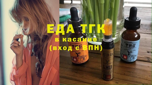 гашик Козельск