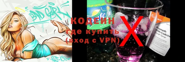 гашик Козельск