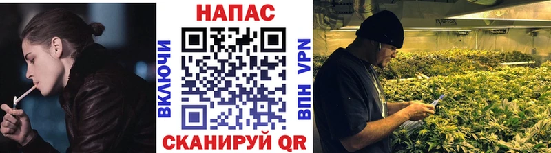 kraken ССЫЛКА  Новошахтинск  Каннабис марихуана 